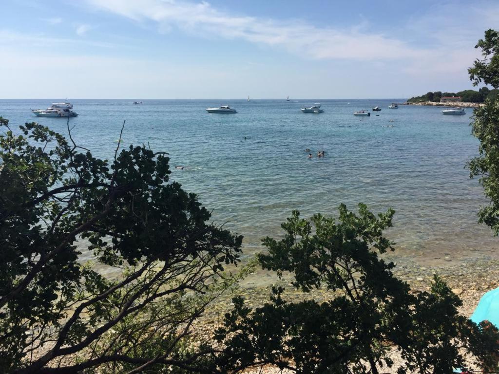 شقة Valentina Novigrad Istria المظهر الخارجي الصورة