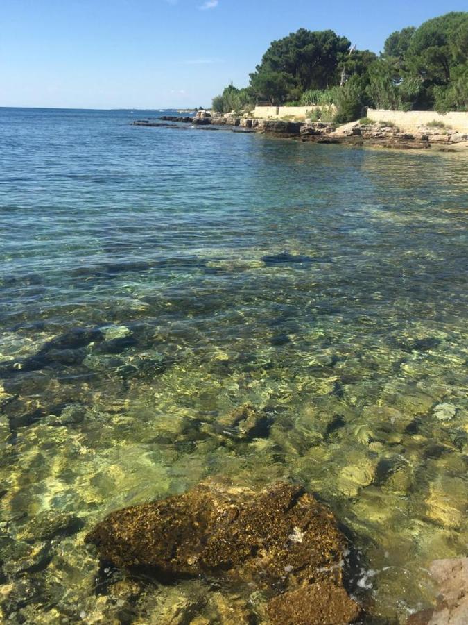 شقة Valentina Novigrad Istria المظهر الخارجي الصورة
