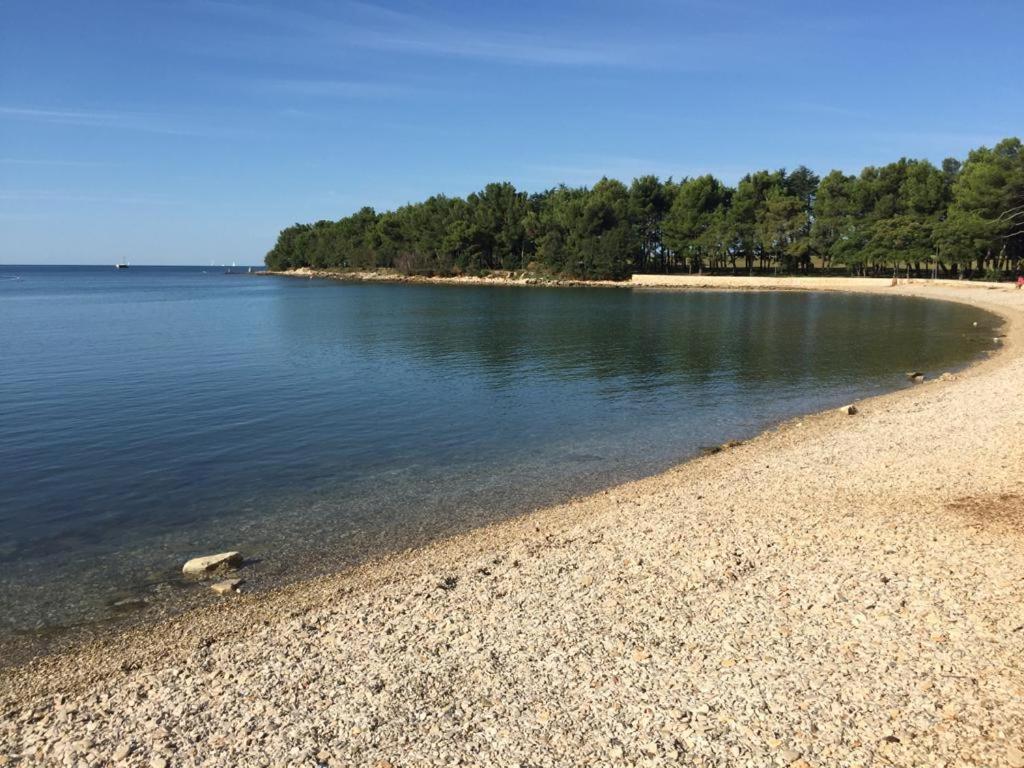 شقة Valentina Novigrad Istria المظهر الخارجي الصورة