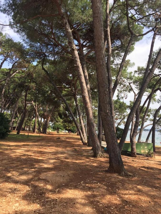 شقة Valentina Novigrad Istria المظهر الخارجي الصورة